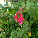 La Pomme Verte Holiday home *