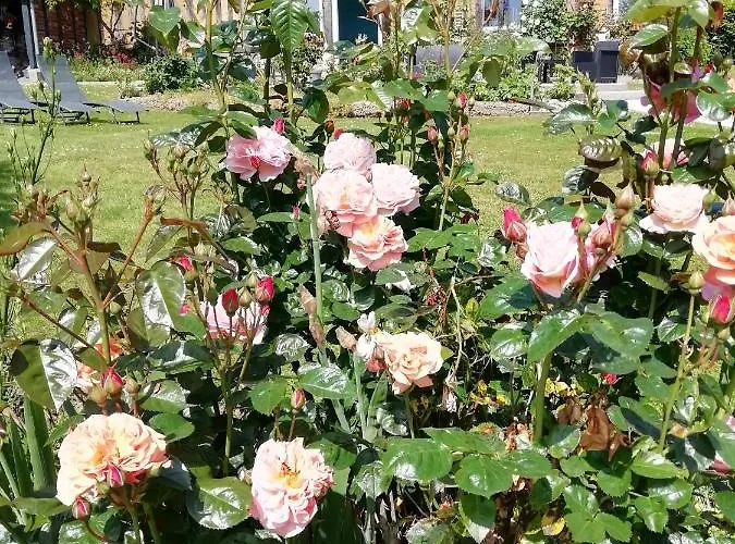 La Pomme Verte * Authou